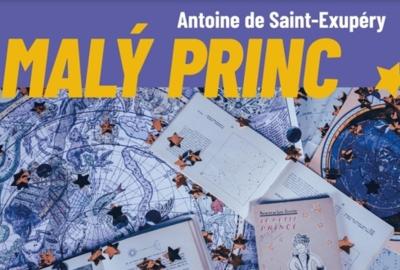 Divadelní představení Malý princ od A. de Saint-Exupéryho